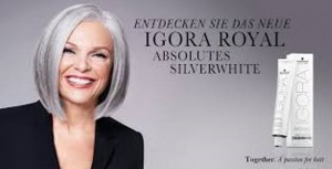 Igora Absolutes Silver White II